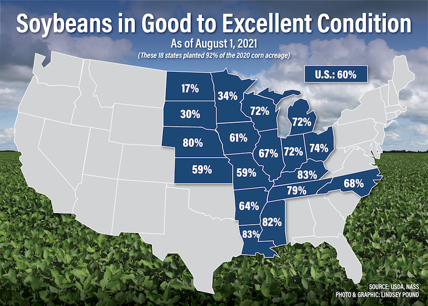 Here's Why USDA's Weekly Crop Condition Ratings Aren't an Accurate